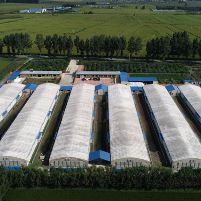 葫蘆島九股河飼料有限公司養(yǎng)殖部